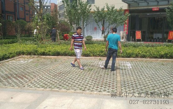 現(xiàn)場測量圖