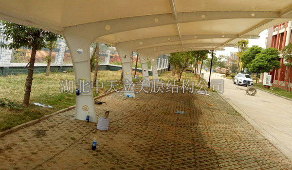 膜結(jié)構(gòu)成品圖