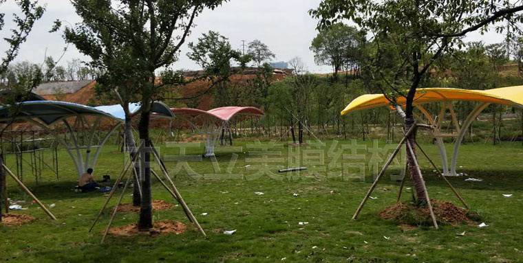 中天立美-張拉膜