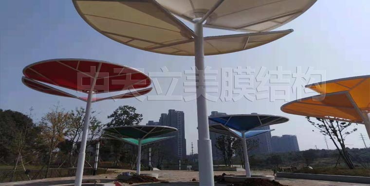 中天立美 -張拉膜完工照2